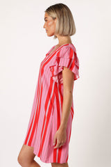 Amara Mini Dress - Pink Stripe