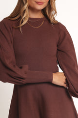 Gigi Long Sleeve Mini Dress - Brown