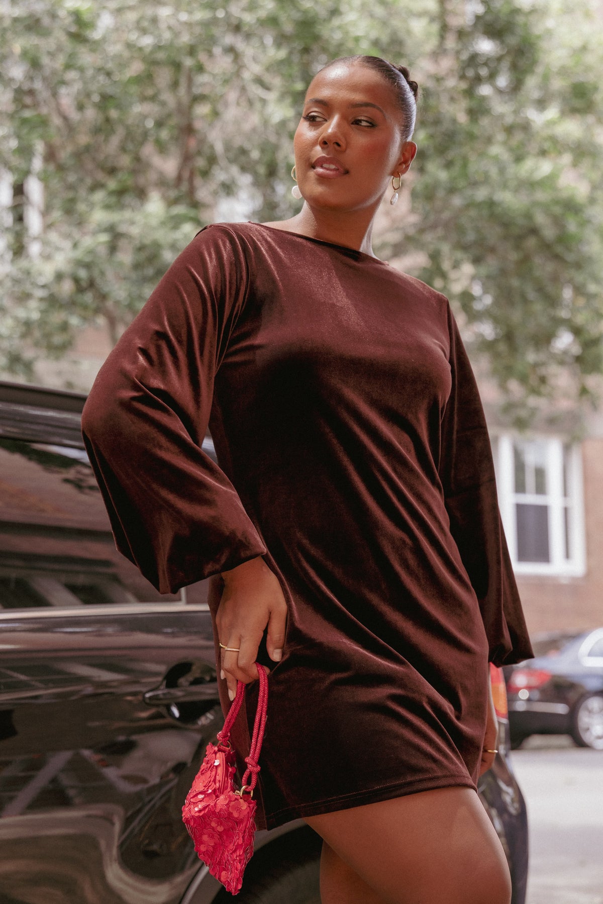 Twylar Long Sleeve Velvet Mini Dress - Brown