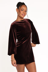 Twylar Long Sleeve Velvet Mini Dress - Brown
